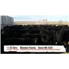Image 1 : Monner Farms-Milo, AB  +/- Steers