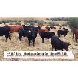 Monkman Cattle Co.-Nanton, AB  +/- Steers