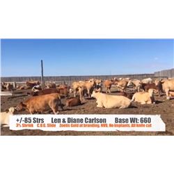 Len and Diane Carlson-Stavely, AB  +/- Steers