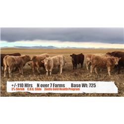 N over 7 Farms-Stavely, AB  +/- Steers