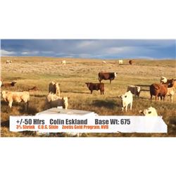 Colin Eskland-Stavely, AB  +/- Heifers