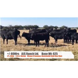 AJS Ranch Ltd.-Big Valley, AB  +/- Heifers