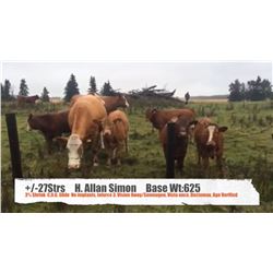 H. Allen Simon-Didsbury, AB  +/- Steers