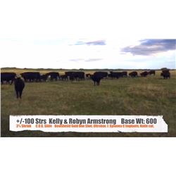 Kelly & Robyn Armstrong-Big Valley, AB  +/- Steers