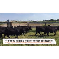 Shawn & Jennifer Fischer - Barrhead, AB  +/- Steers