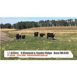 4 Diamond/Snyder Ridge Farms-Crossfield, AB  +/- Steers
