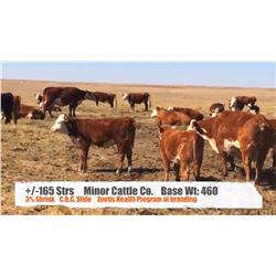 Minor Cattle Co. - Bindloss, AB   +/- Steers