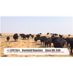 Kornfeld Ranches - Val Marie, SK  +/- Steers