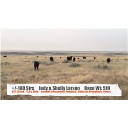 Jody & Shelly Larson - Val Marie, SK  +/- Steers