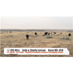 Jody & Shelly Larson - Val Marie, SK  +/- Heifers