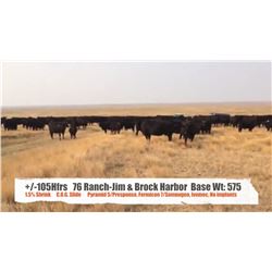 76 Ranch (Jim & Brock Harbor)- Val Marie, SK  +/- Heifers