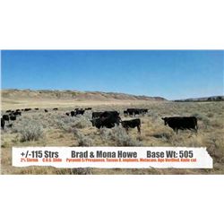 Brad & Mona Howe-Empress, SK  +/- Steers