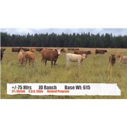 JD Ranch-Fort Steele BC.  +/- Heifers