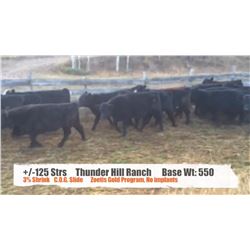 Thunder Hills Ranch-Canal Flats, BC  +/- Steers