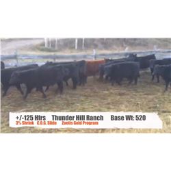 Thunder Hills Ranch-Canal Flats, BC  +/- Heifers
