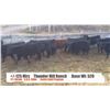 Image 1 : Thunder Hills Ranch-Canal Flats, BC  +/- Heifers