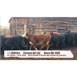 Fossen Air Ltd-Rock Creek, BC  +/- Steers