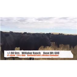 Willabar Ranch (Andy&Ramona Hart) - Claresholm, AB  +/- Steers