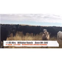 Willabar Ranch (Andy&Ramona Hart) - Claresholm, AB  +/- Heifers