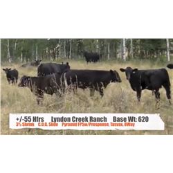 Lyndon Creek Ranch - Claresholm, AB  +/- Heifers