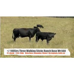 Three Walking Sticks Ranch-Claresholm, AB  +/- Steers