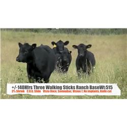 Three Walking Sticks Ranch-Claresholm, AB  +/- Heifers
