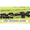 Image 1 : Trout Creek Cattle Co.-Claresholm, AB  +/- Steers