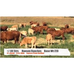 Hansen Ranches-Cardston, AB  +/- Steers