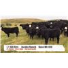 Image 1 : Jacobs Ranch-Mountain View, AB  +/- Steers