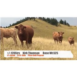 Kirk Thomson-Lundbreck, AB  +/- Steers