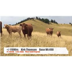 Kirk Thomson-Lundbreck, AB  +/- Heifers