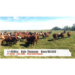 Kyle Thomson-Black Diamond, AB  +/- Heifers