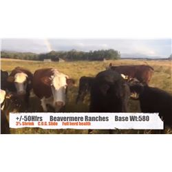 Beavermere Ranch-Beavermines, AB  +/- Heifers