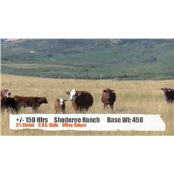 Shoderee Ranch-Waterton, AB  +/- Heifers