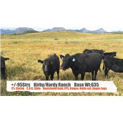 Kirby/Hardy Ranch-Pincher Creek, AB  +/- Steers