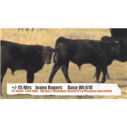 Jeane Rogers-Sunnynook, AB  +/- Heifers