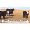 Image 1 : Jackknife Coulee Ranch-Wardlow, AB  +/- Steers