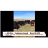 Image 1 : Finkbeiner Ranch-Sunnynook, AB  +/- Steers