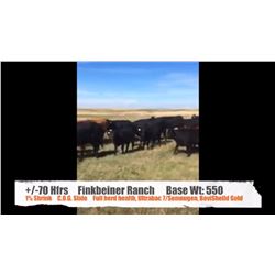 Finkbeiner Ranch-Sunnynook, AB  +/- Heifers