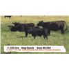 Image 1 : Bogi Ranch (John Bogi)-Cessford&Sunnynook, AB  +/- Steers