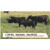 Image 1 : Bogi Ranch (John Bogi)-Cessford&Sunnynook, AB  +/- Heifers