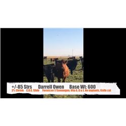 Darrell Owen-Patricia, AB  +/- Steers