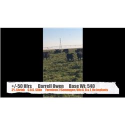 Darrell Owen-Patricia, AB  +/- Heifers