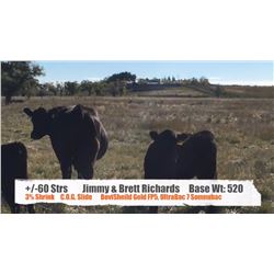 Jimmy & Brett Richards - Sunnynook, AB  +/- Steers