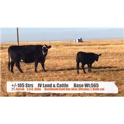 JV Land & Cattle-Finnegan, AB  +/- Steers