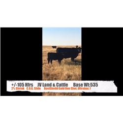 JV Land & Cattle-Finnegan, AB  +/- Heifers