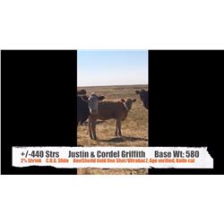Justin & Cordel Griffith-Cessford, AB  +/- Steers