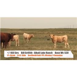 Bill Griffith/Alkali Lake Ranch - Cessford, AB  +/- Steers