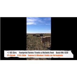 Footprint Farms (Travis & Nichole Foot)-Esther, AB  +/- Steers