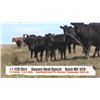 Image 1 : Square Deal Ranch Ltd. - Pollockville, AB   +/- Steers